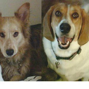 Meet your Posher, Lynda